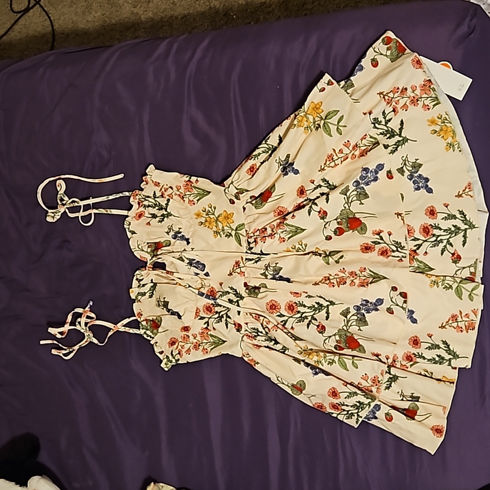 NWT Cider Floral Mini Dress, Medium